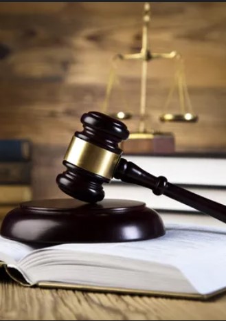 Client consultation & case briefing